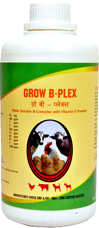 Manufacturers Exporters and Wholesale Suppliers of Animal Feed Supplements of Vitamin B Complex Bangalore Karnataka